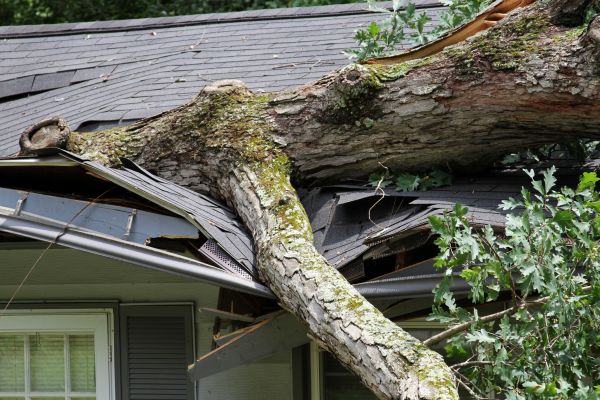 Cost of Storm Remediation in New Baltimore