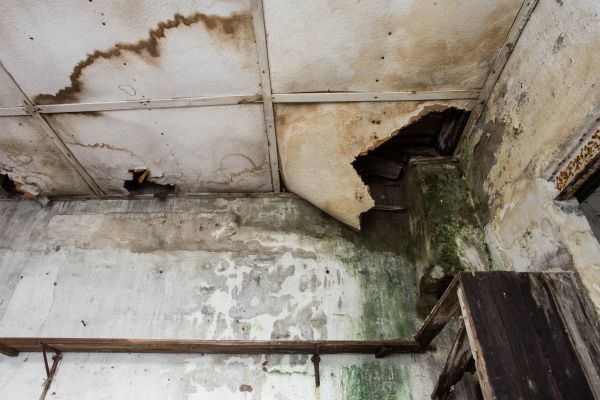 Water Damage Service in New Baltimore