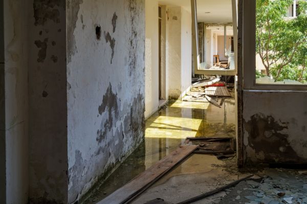 Water Removal Service in New Baltimore