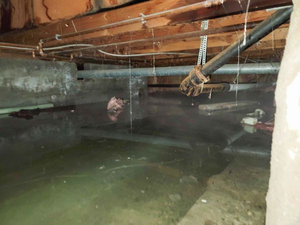 Cost of Crawl Space Drying in New Baltimore