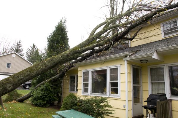 Hurricane Damage Repair in New Baltimore